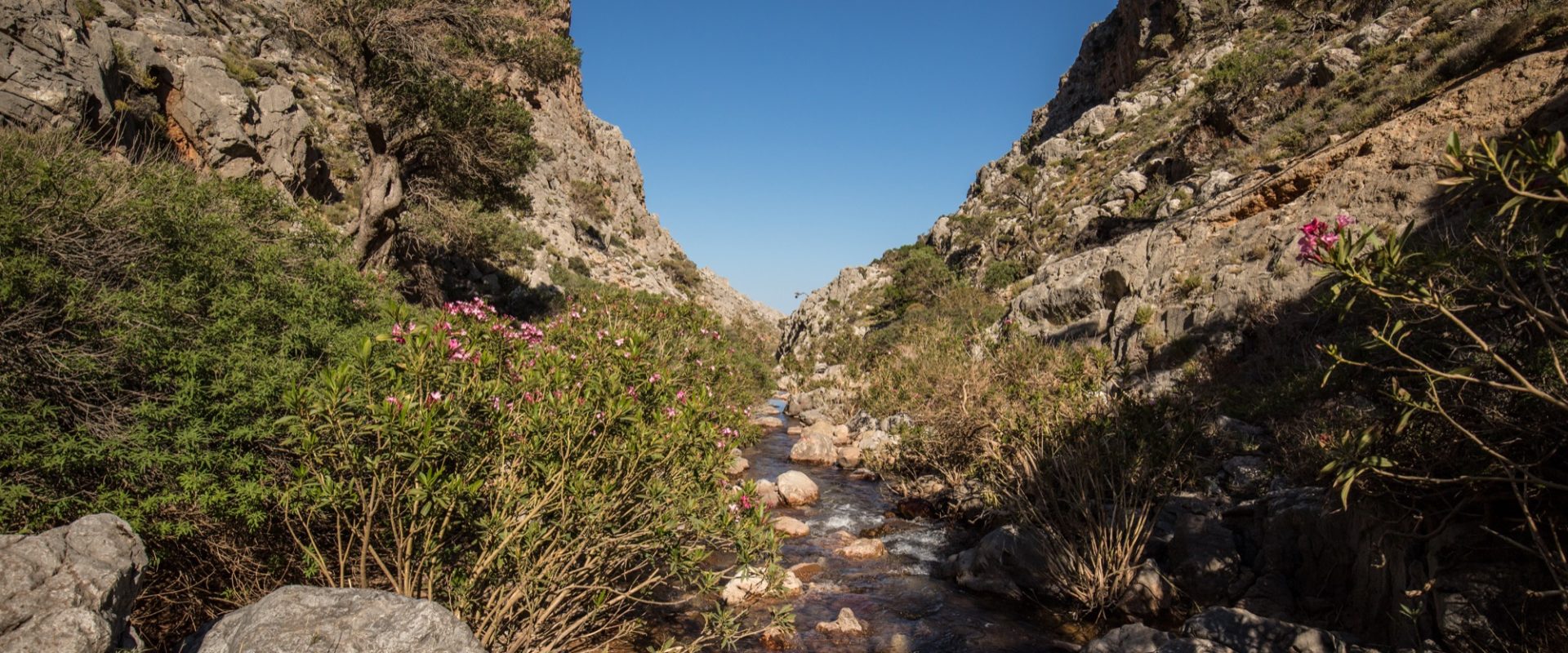 Δραστηριότητες