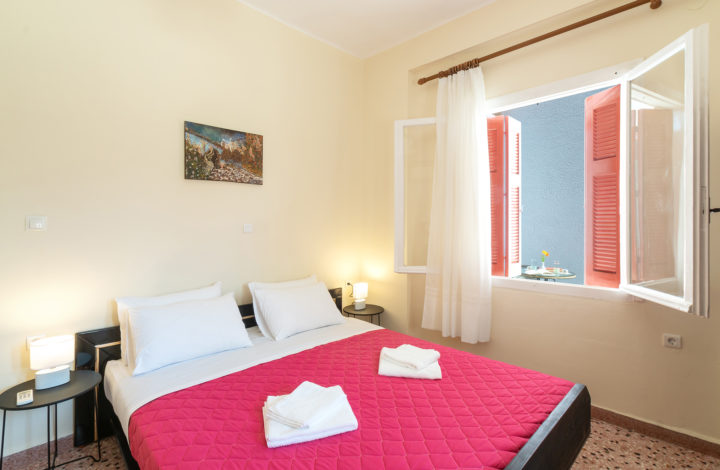 Standard Studio Aloe Apartment